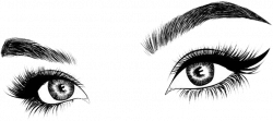 HD Picture - Eyelash And Eyebrow Clipart , Free Unlimited ...