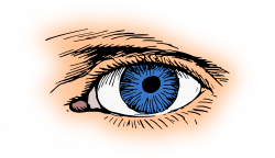 Brown Eyes Clipart#4364409 - Shop of Clipart Library