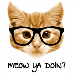 MEOW YA DOIN? CAT IN GLASSES | The Wild Side