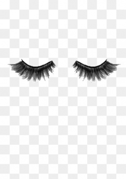 Eyelashes Png, Vectors, PSD, and Clipart for Free Download | Pngtree