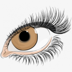 Eyelash Clipart Thick - Eye With Lashes Png #243345 - Free ...