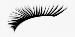 Eyelashes Clipart Png #52487 - Free Cliparts on ClipartWiki