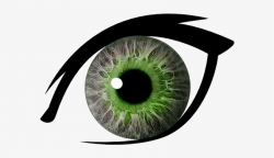 Png Library Download Eyelash Clipart Pretty Eye ...