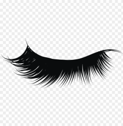 transparent download eyelashes clipart png - eyelash PNG ...