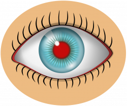 File:Red eye.svg - Wikimedia Commons