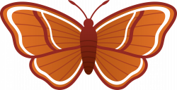 Moth clip art clipart