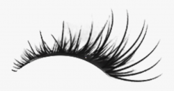 Free Download Pink Lashes Clipart Eyelash Extensions ...