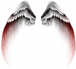 Photography Clip art - Gradient angel wings 1024*937 transprent Png ...