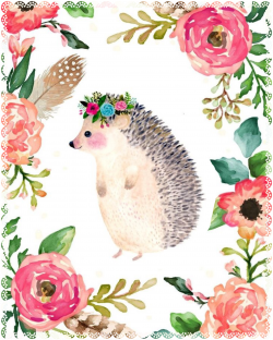 Pin by Alba Rivera on Dibujo ect | Pinterest | Hedgehogs, Watercolor ...