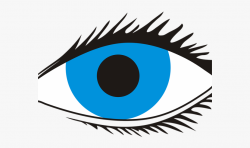 Blue Eyes Clipart Eyesight - Human Eye Transparent ...