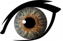 Best Brown Eyes Clipart #18281 - Clipartion.com | Vision Art ...