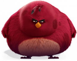 Characters | Angry Birds