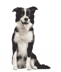 Quality Clip Art of Animals That Live On A Farm: Border Collie ...