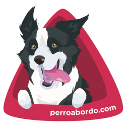 Pegatina Border Collie - Perro a bordo | IDEAS | Pinterest | Collie
