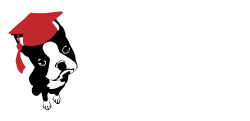 Testimonials | Sit Stay Obey Academy