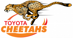 Cheetah Logos