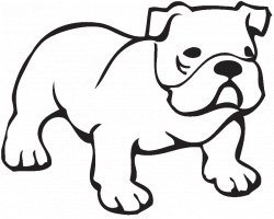 28+ Collection of Bulldog Clipart Transparent | High quality, free ...