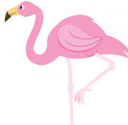 28+ Collection of Flamingo Clipart Transparent Background | High ...