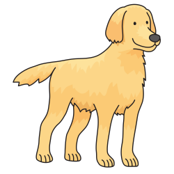 OnlineLabels Clip Art - Dog - Golden Retriever