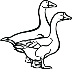 19 Goose clipart HUGE FREEBIE! Download for PowerPoint presentations ...