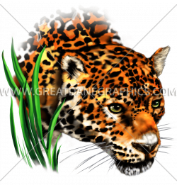 Jaguar in Grass | Production Ready Artwork for T-Shirt Printing