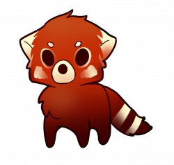28+ Collection of Red Panda Drawing | High quality, free cliparts ...