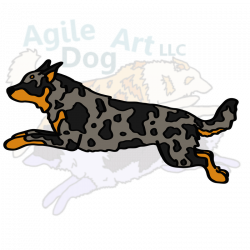Herding - Agile Dog Art