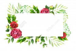 Garden roses Picture Frames Clip art - design 780*530 transprent Png ...