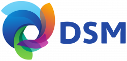 DSM (company) - Wikipedia