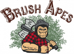 Brush Apes - Restoring a Waste Free Culture: 2016