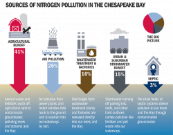 water pollution - by Tamber Neumann [Infographic]