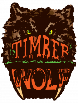 Timber Wolf (roller coaster) - Wikipedia