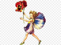 Flower Fairies png download - 450*677 - Free Transparent ...