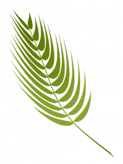 Free Image on Pixabay - Lent, Palm, Holy, Jesus, Faith | Palm, Lent ...