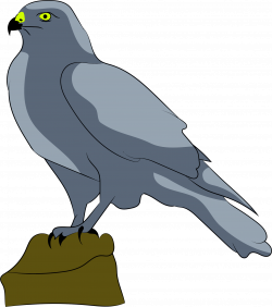 perched falcon_bclipart - BClipart