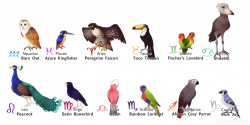 Zodiac Signs- Birds by FuzzySinclair on DeviantArt