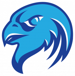 Blue falcon logo - crazywidow.info