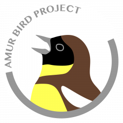 Amur Bird Project: 2013