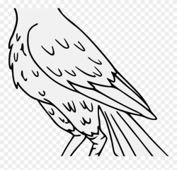 Falcon Drawing Png Clipart (#4476444) - PinClipart