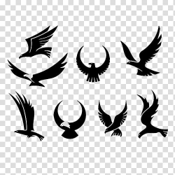 Bird , Tattoo Eagle Hawk Falcon, eagle transparent ...