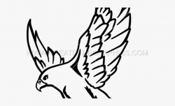 Falcon Clipart Easy - Drawing Of A Hawk Flying, Cliparts ...
