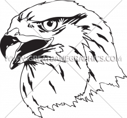 Falcon Head Drawing at GetDrawings.com | Free for personal use ...