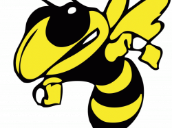 19 Hornet clipart HUGE FREEBIE! Download for PowerPoint ...