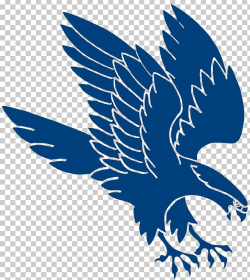 Falcon PNG, Clipart, Animals, Beak, Bird, Bird Of Prey ...