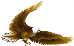 Bird Eagle Hawk Clip art - eagle 1024*639 transprent Png Free ...