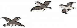 Plovers Icons PNG - Free PNG and Icons Downloads
