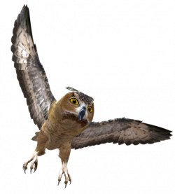 Owl in Flight PNG Clipart | Tiere transparent | Pinterest | Owl ...