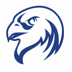 Atlanta Falcons Png Logo - Free Transparent PNG Logos