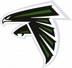 Pictures of the falcons Logos