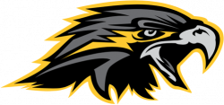 Wichita Falls Nighthawks | Hawks-Falcons Logos | Fantasy ...
